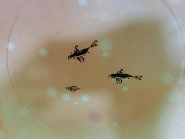 皿■魚 貝 【番浦史郎】ばんうらしろう ピンク 京焼 土物 時代物 骨董品■