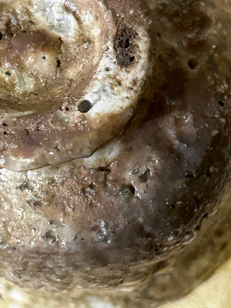 期間限定値下げ　松本 央 作 盃 未使用品