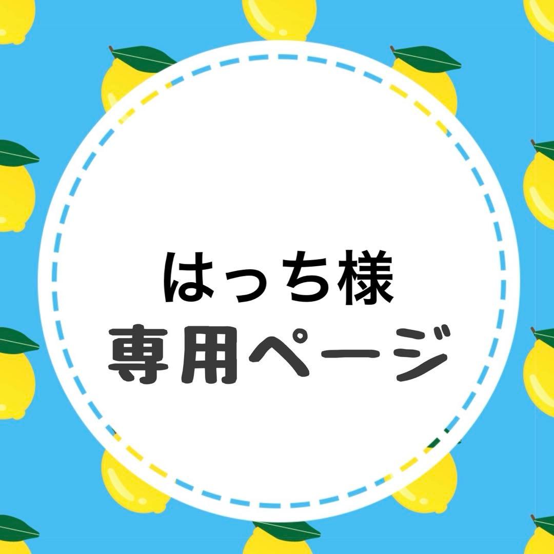 はっちページ