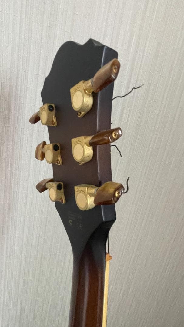 Ibanez AEL125ERD エレアコ ブラック