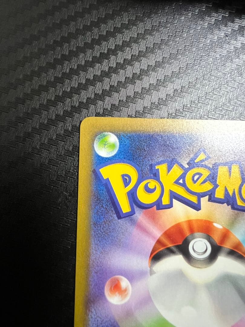 シ*ル様 メガゲンガーex SAR