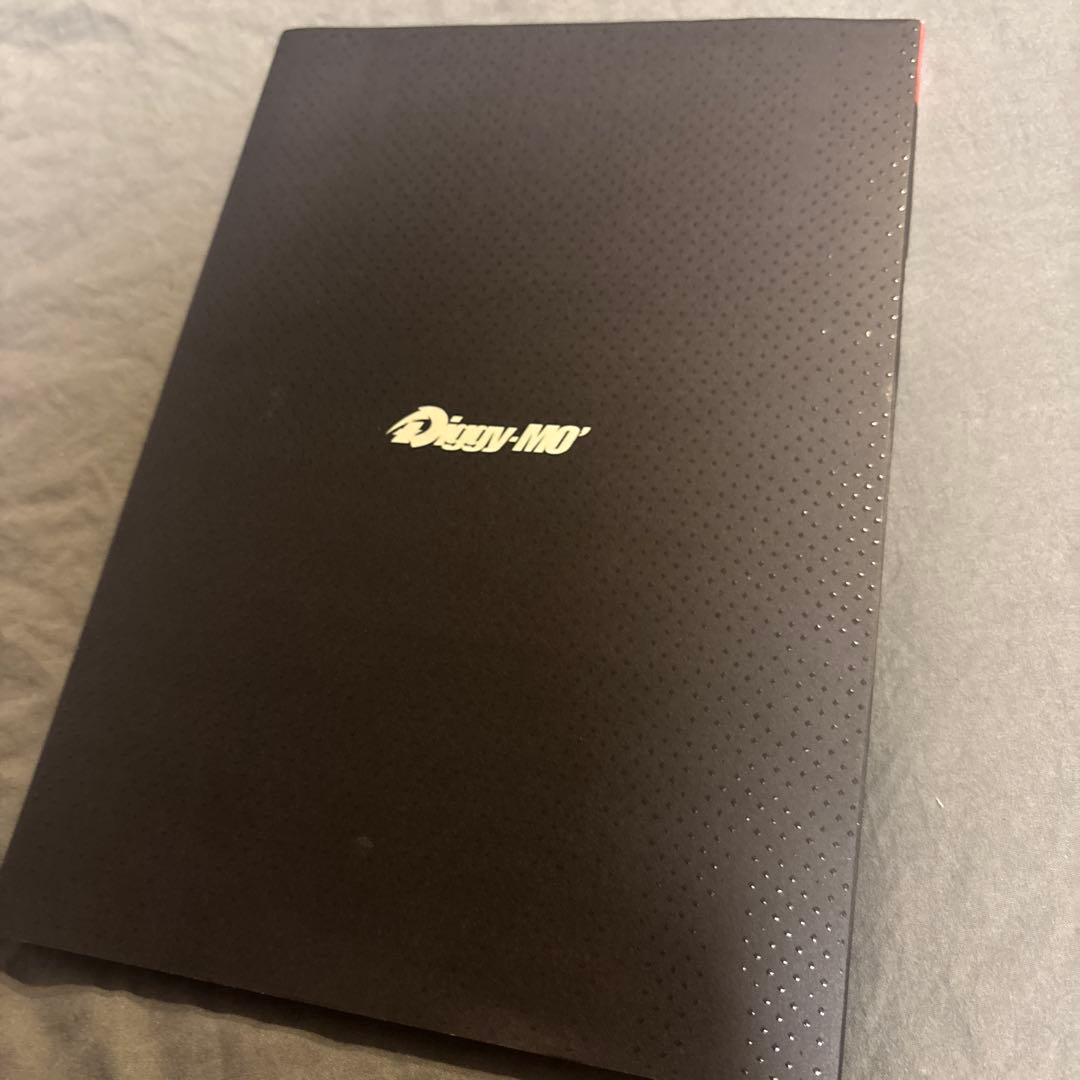 SOUL'd OUT Diggy-MO' ライブパンフレット まとめ売り