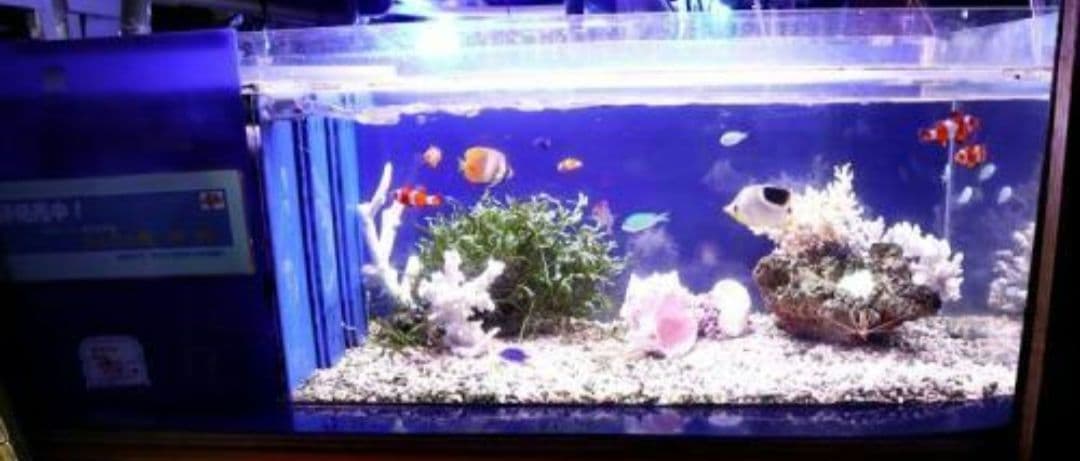 日海センター　かんたん槽NK-90