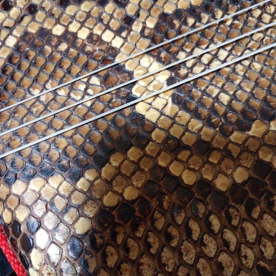 沖縄三線 ヘビ皮模様 本体とケース付き