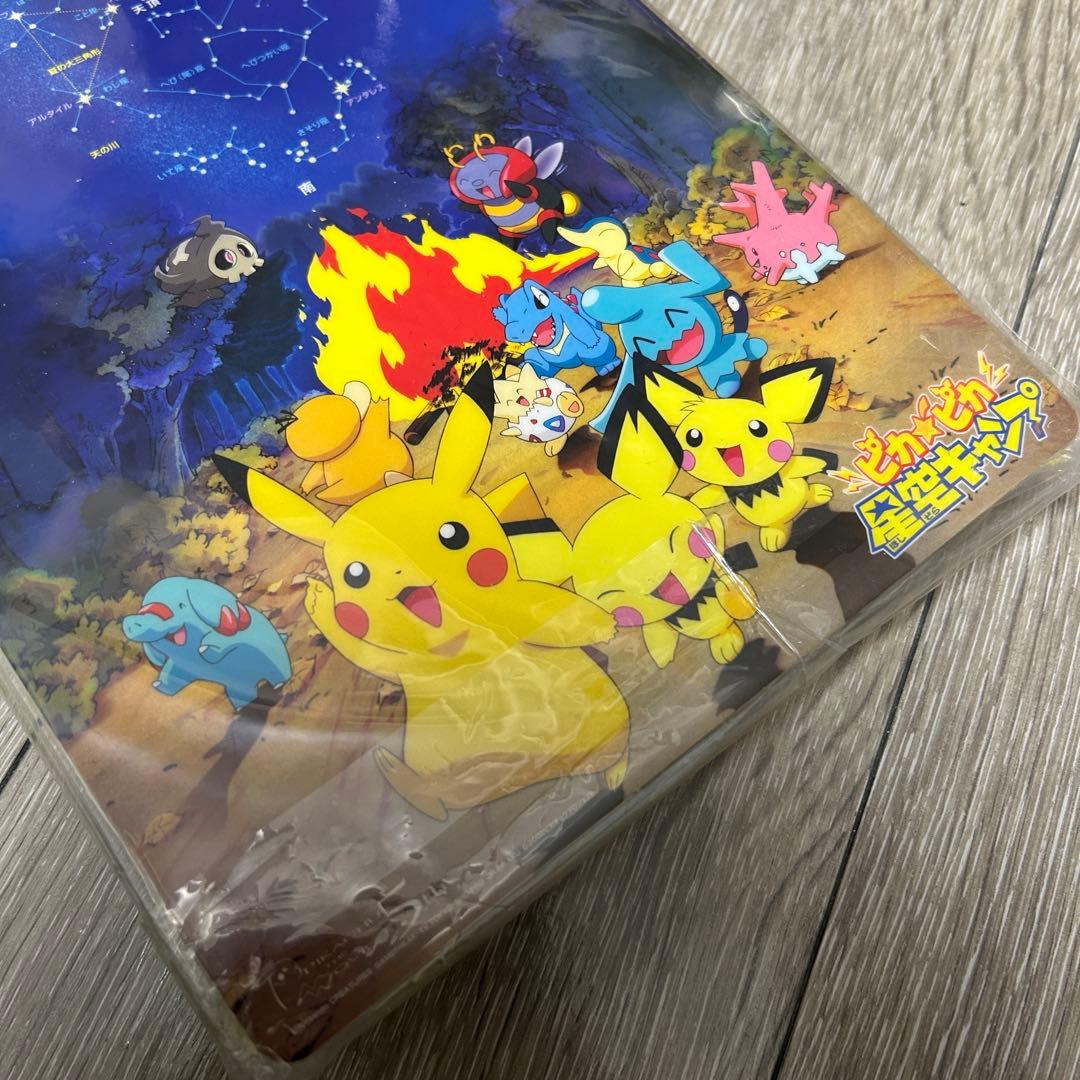 ポケモンカード ピチュー兄弟　特製ポケモングッズ付き！　プロモ　未開封
