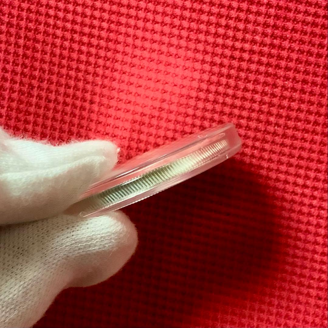 2010年 パンダ銀貨　1オンス 純銀