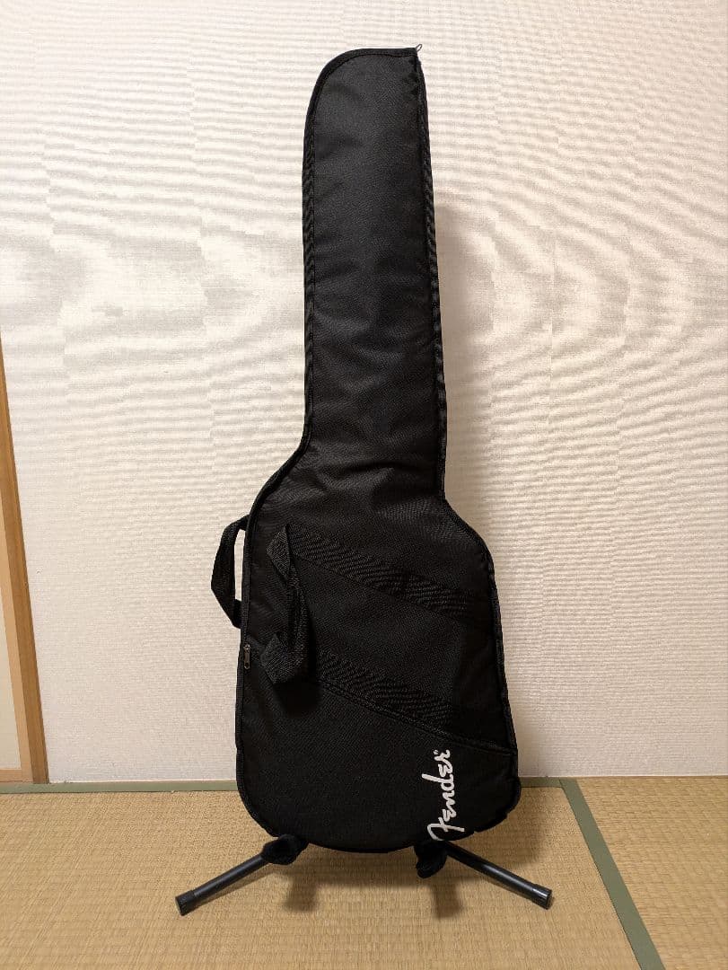 ギター Fender STANDARD TELECASTER