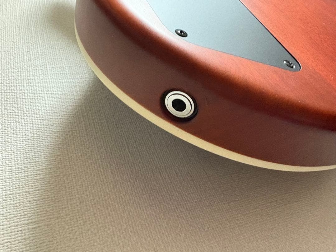 RYOGA HORNET /LEC TQM EBK 【生産完了品】