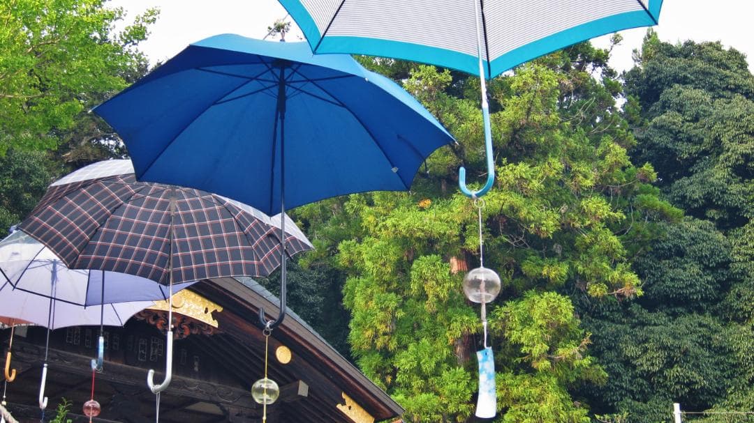 Canon S95 コンパクトデジタルカメラ