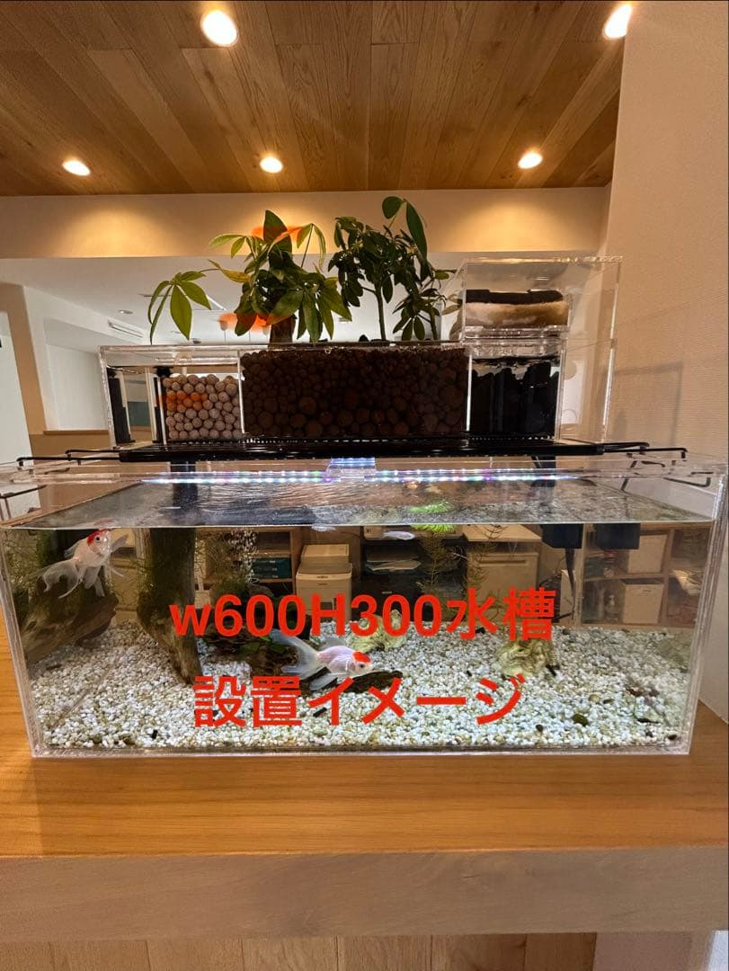 60cm水槽用　アクリル製上部濾過槽アクアポニックス仕様