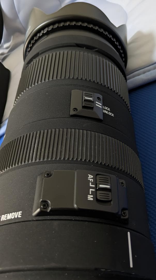 値下！2万台 SIGMA APO 120-400mm DG OS HSM ソニー