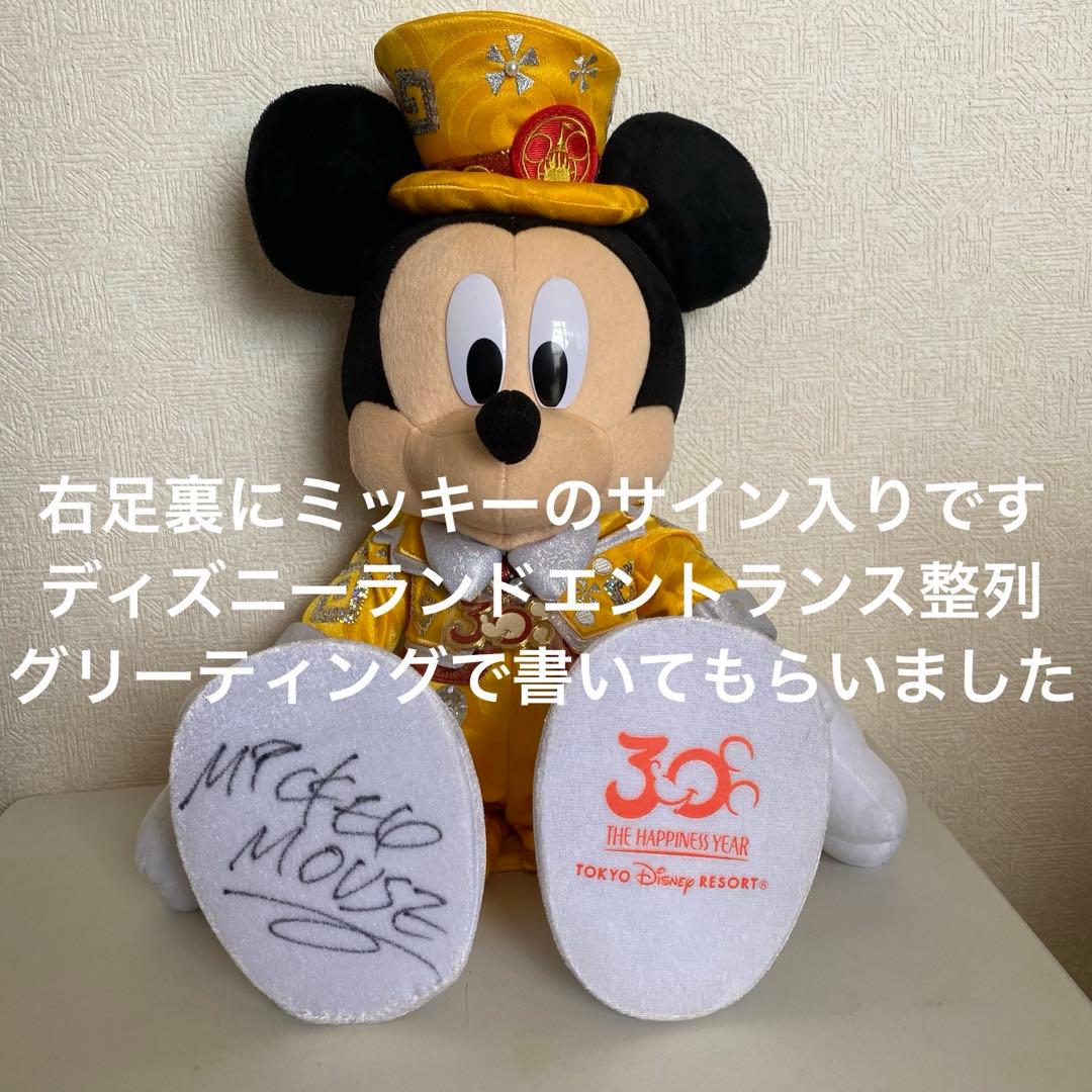 ディズニーリゾート　40周年　ぬいぐるみ　ミッキー　70cm 巨大　限定　レア