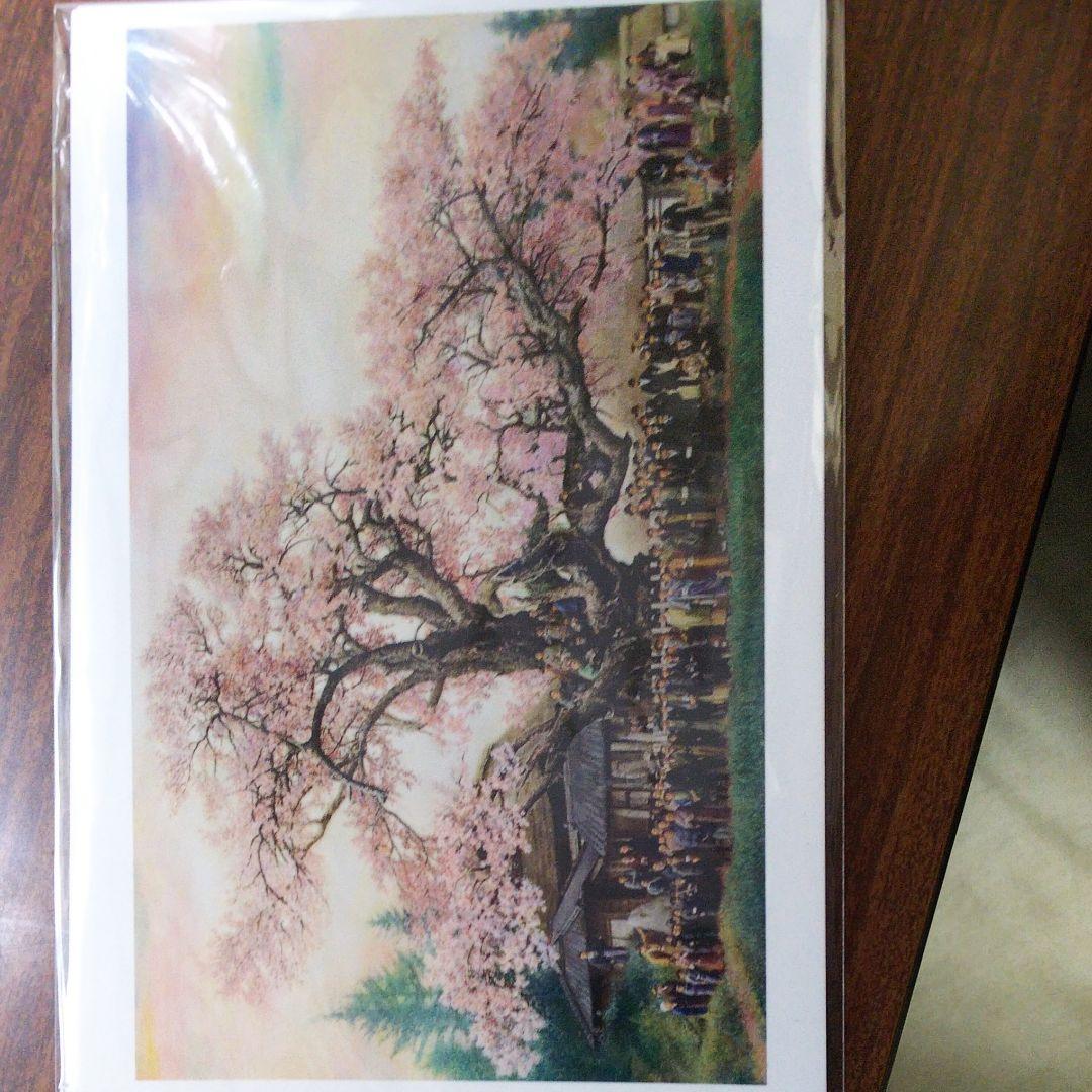 明治40年の神代桜 ポストカード
