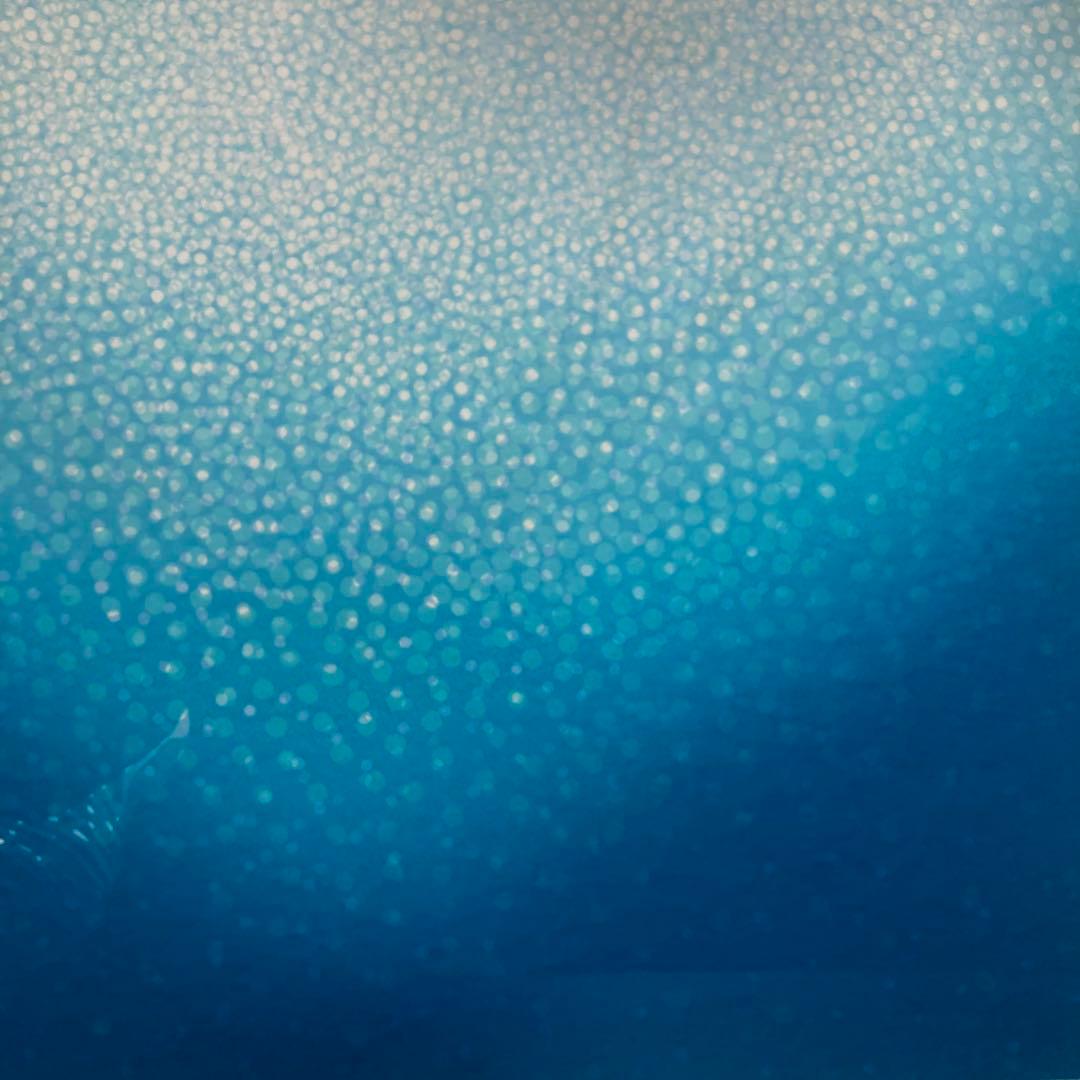 【真作】笠井正博 大型シルクスクリーン 直筆サイン 50部限定 版画 絵画