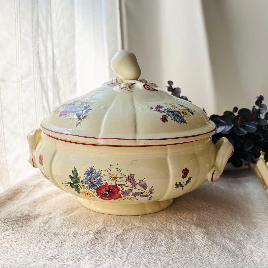 【希少】ディゴワン サルグミンヌ アグレスト レギュミエ