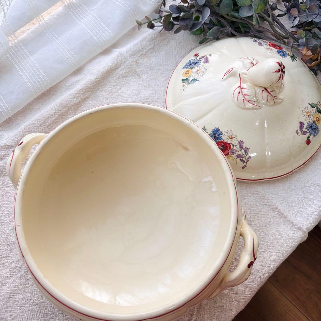 【希少】ディゴワン サルグミンヌ アグレスト レギュミエ