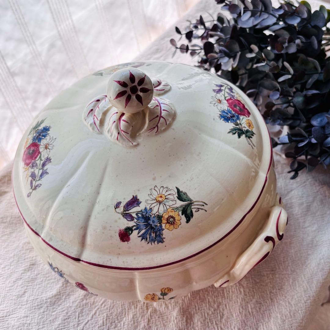 【希少】ディゴワン サルグミンヌ アグレスト レギュミエ