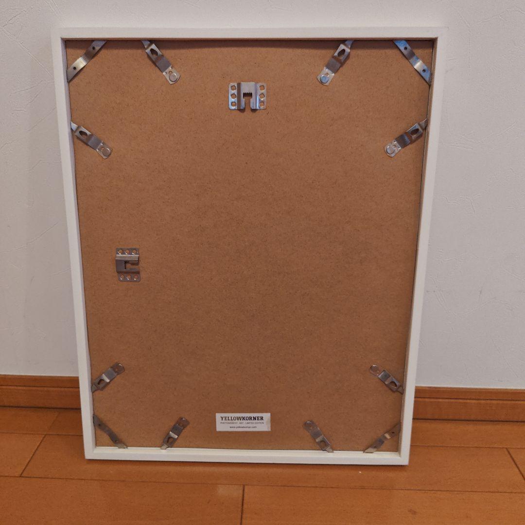 Ｉ'm not a trophy sinba 9　アート作品