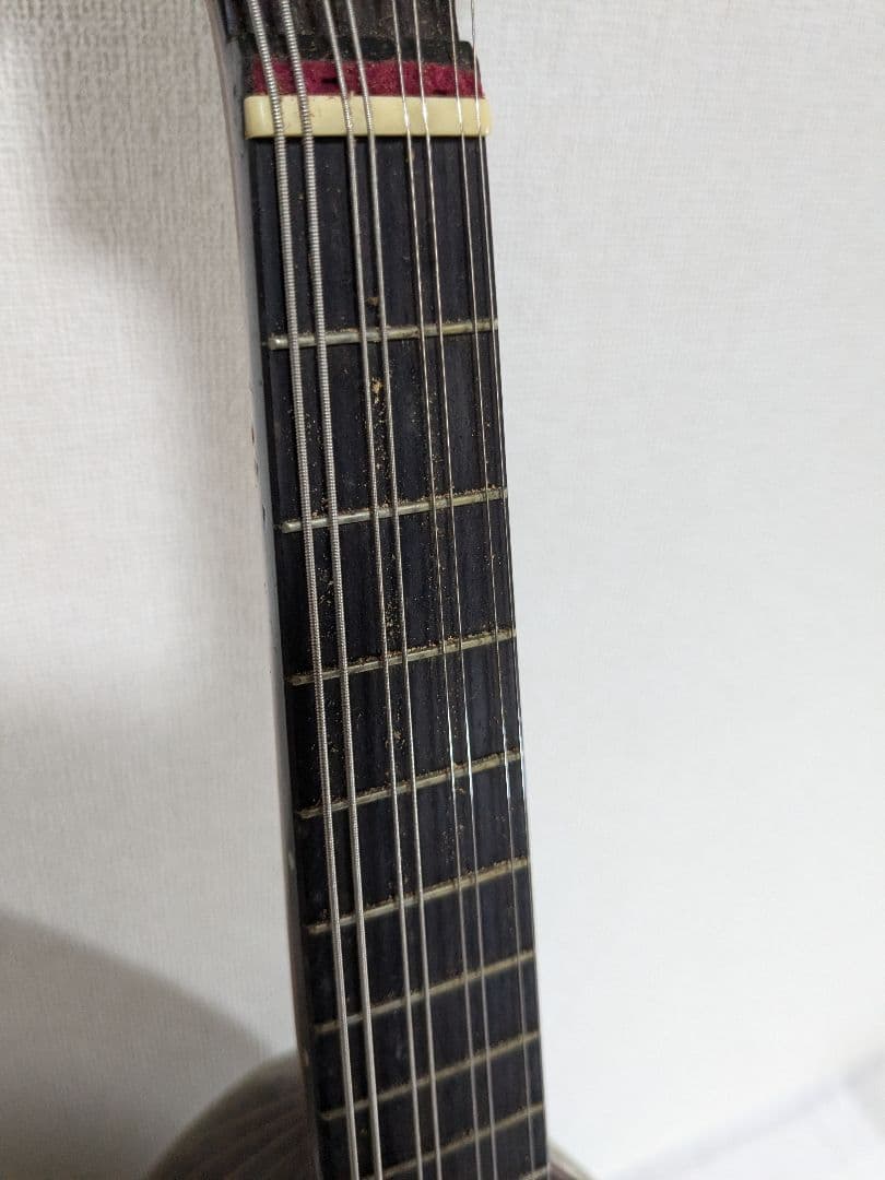 藤丸常夫 マンドリン ハードケース付き