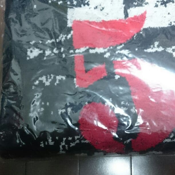 氷室京介 2010年ツアーグッズ９点セット