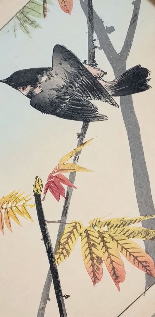 稀省亭版画花鳥画帖12図柄入り渡辺省亭画、明治後期頃芸艸堂出版