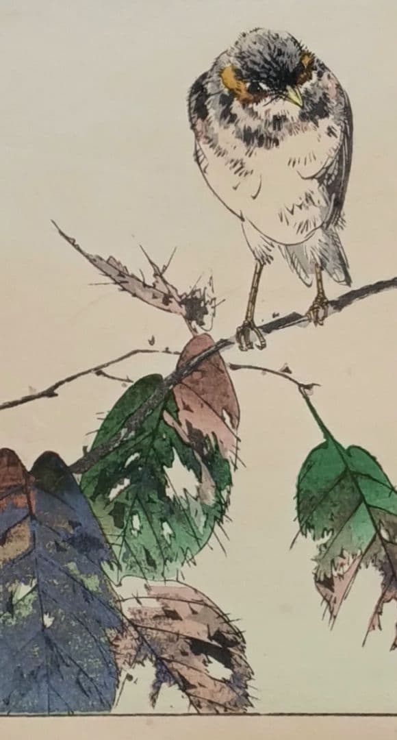 稀省亭版画花鳥画帖12図柄入り渡辺省亭画、明治後期頃芸艸堂出版