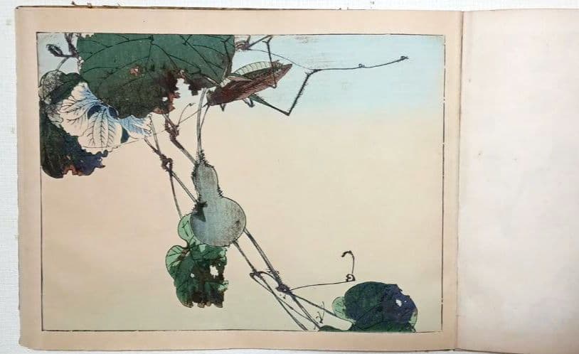 稀省亭版画花鳥画帖12図柄入り渡辺省亭画、明治後期頃芸艸堂出版