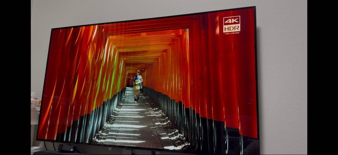 【y122o】LG有機ELテレビ 55インチ　OLED55C8PJA