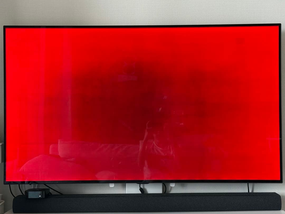 【y122o】LG有機ELテレビ 55インチ　OLED55C8PJA
