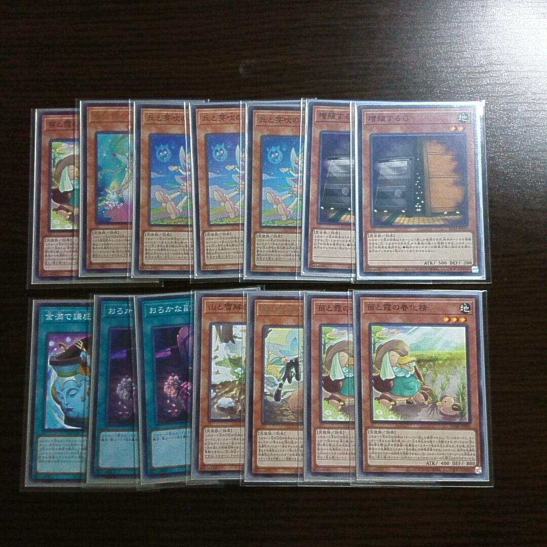 遊戯王【ナチュル】デッキ 地霊使いアウス スリーブ付.