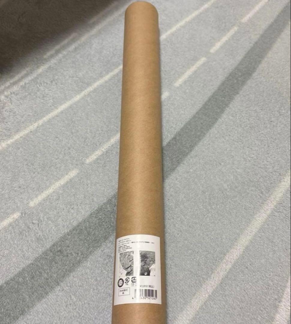 ヒロアカ 原画展 A2 アートポスター 2枚セット The Begin