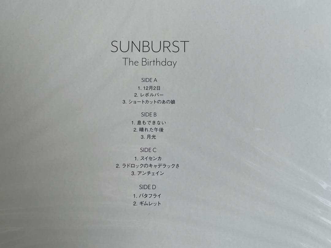 The Birthday SUNBURST アナログレコード LP チバユウスケ