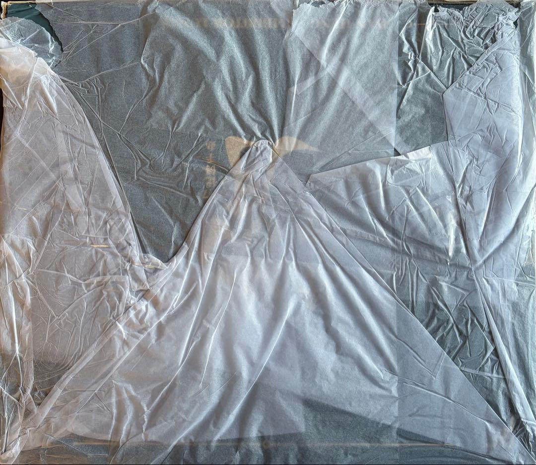 崩壊スターレイル 丹恒 飲月 フィギュア DX版 未開封 箱痛みあり