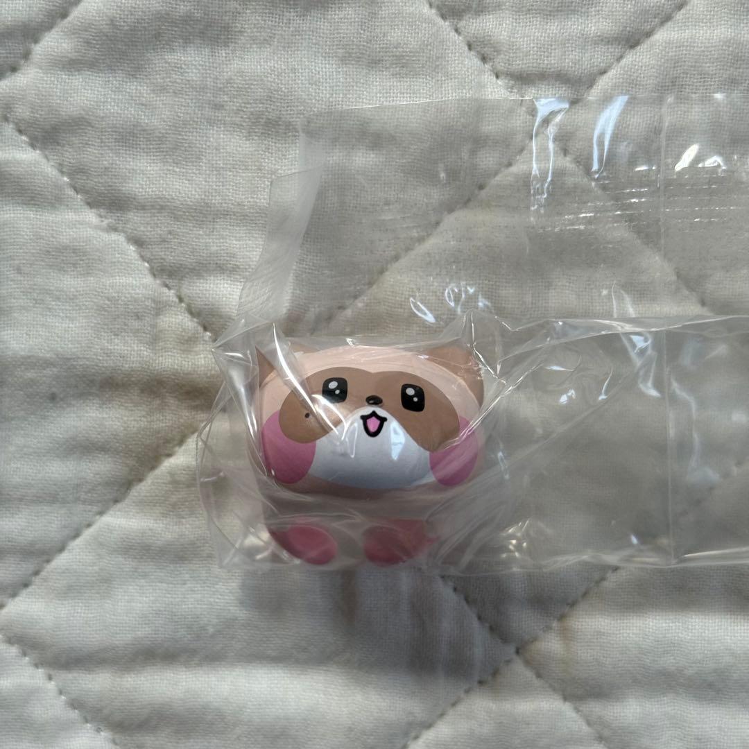 zb1 ゼベワン zeroni ジャンハオ グッズまとめ売り