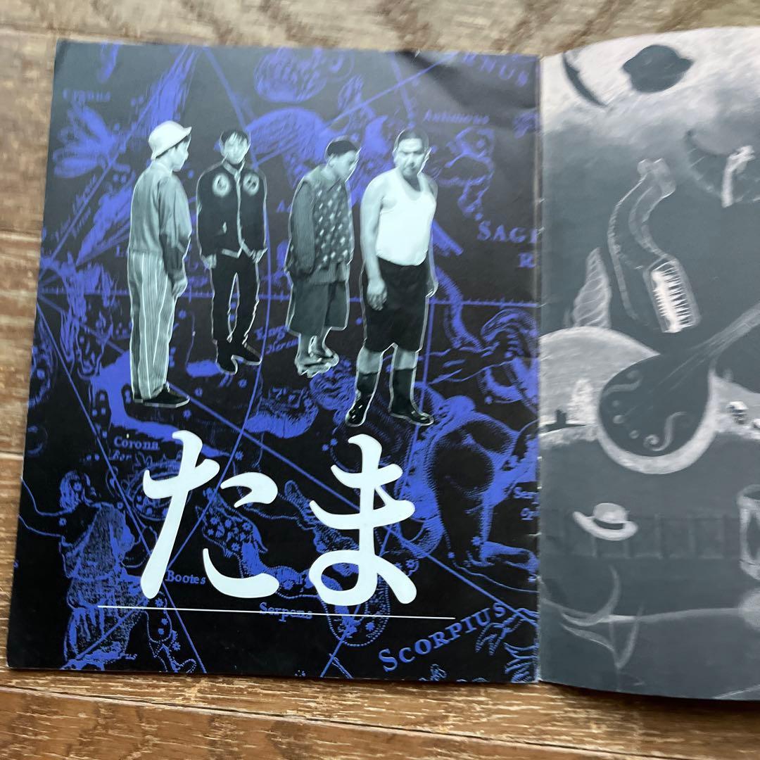 たま ツアー パンフレット たまの方向音痴 チラシ付き 知久寿焼 柳原 イカ天