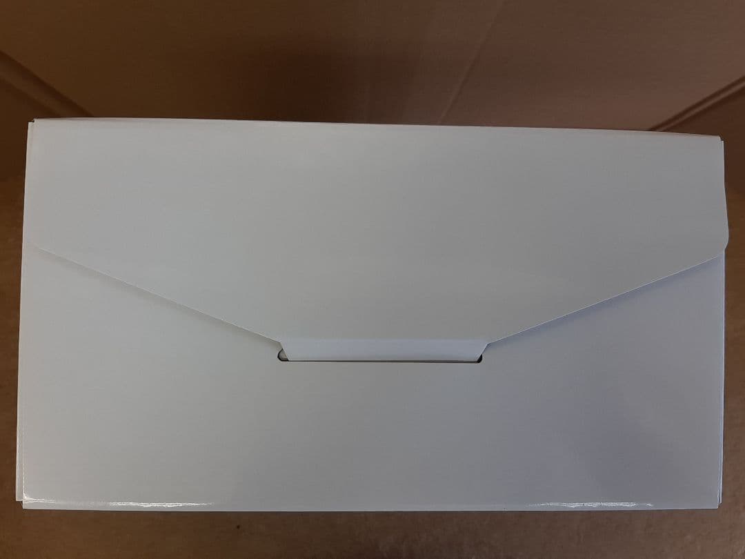 ケース箱　キャリーデコ8号　ホワイト　クリスマスケース箱