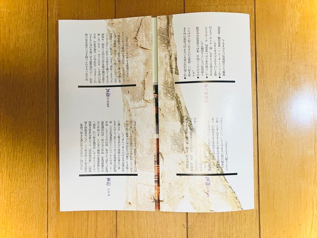 さわらび文 花生 黒 3.0✖︎9.3寸 胴張形花瓶 わらび 水板付