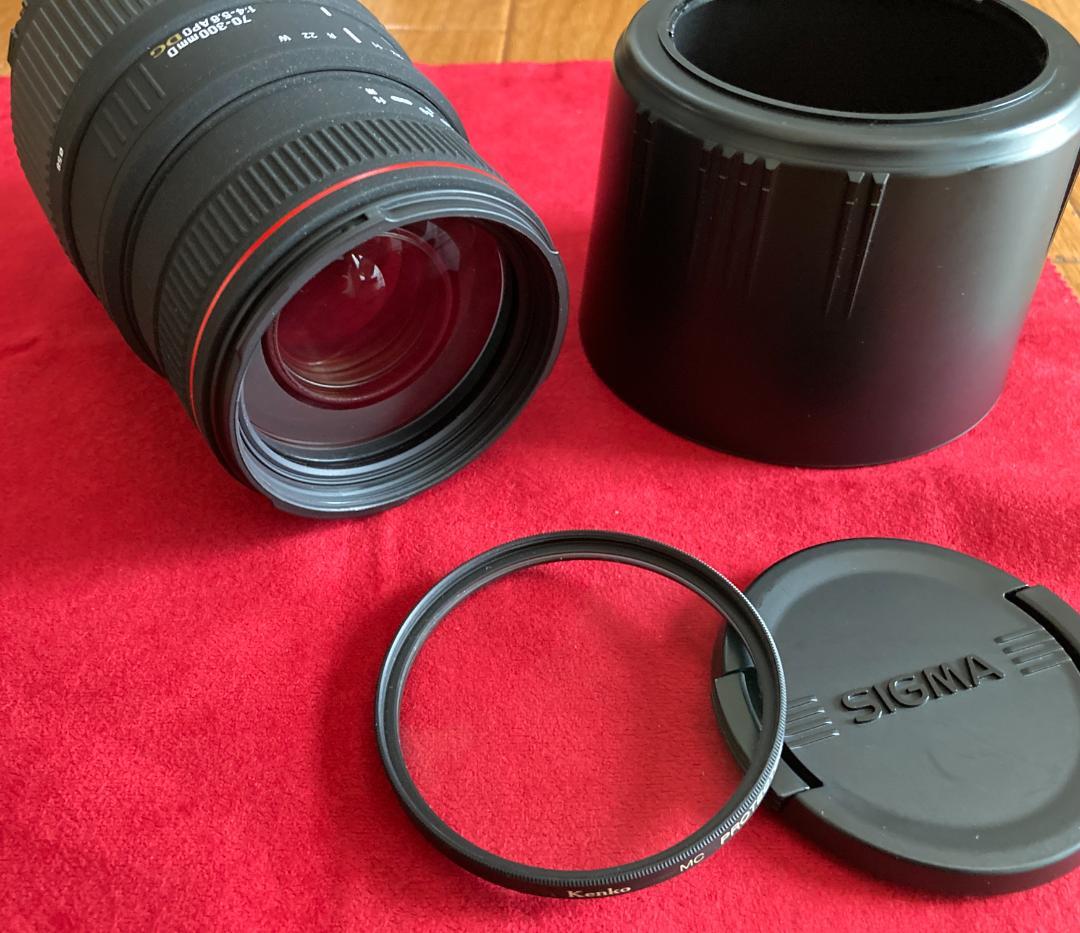 最終値下げ SIGMA AF 70-300mm F4-5.6