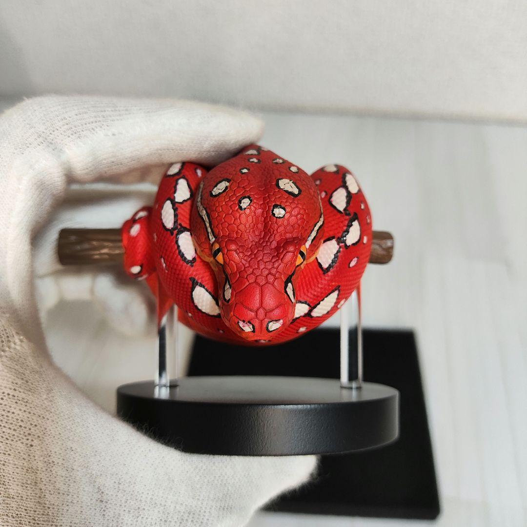 【動物の惑星】スーパーレア!!韓国88体限定エメラルドツリーボア赤! 日本初上陸