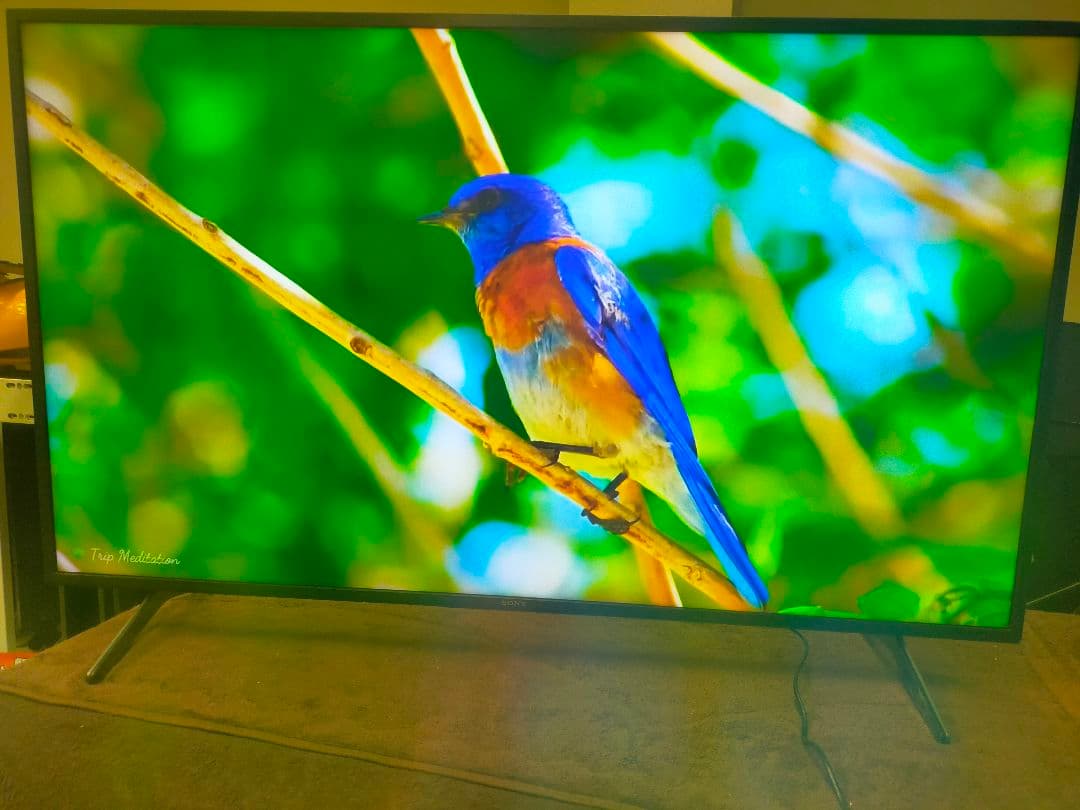 SONY BRAVIA KJ-55X8000H（2020年製）