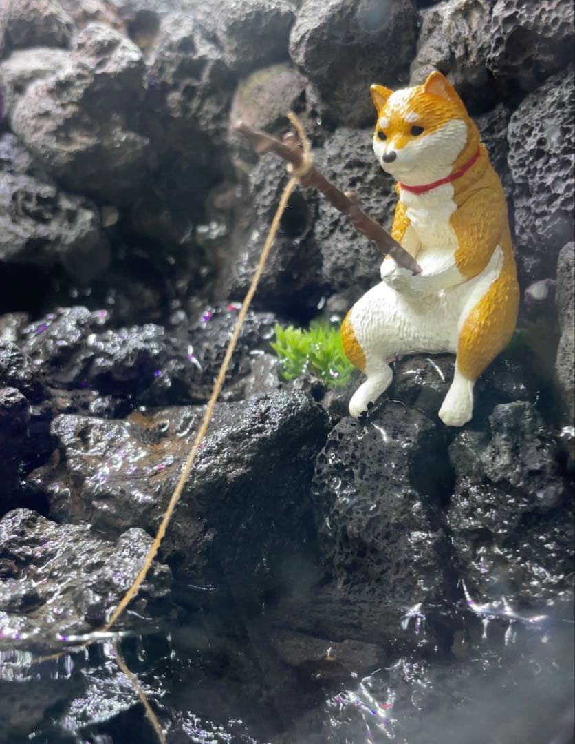 アクアテラリウム　　溶岩石　No.3　※傷あり特価※