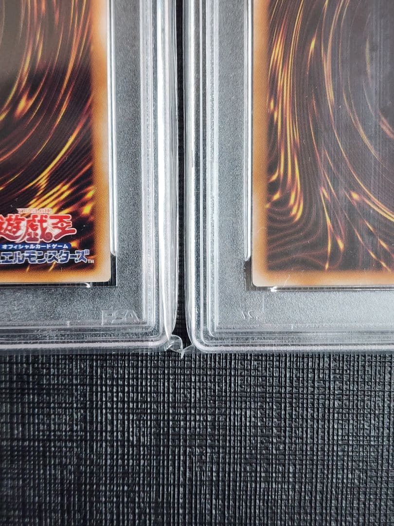 ご*こ様 連番 PSA10 究極完全態 グレートモス ホーリーナイトドラゴン 2