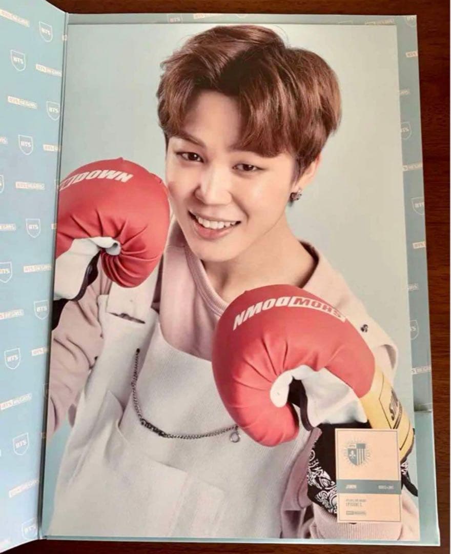 BTS ビギンズ Begins 公式　ポスター　プログラムブック　セット 2点