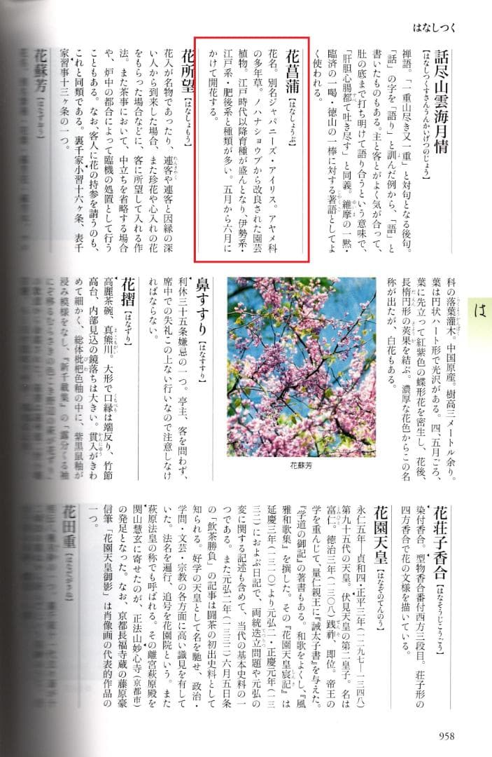表千家13世即中斎宗左御書付『花菖蒲絵茶碗』9代大樋長左衛門造（共箱）
