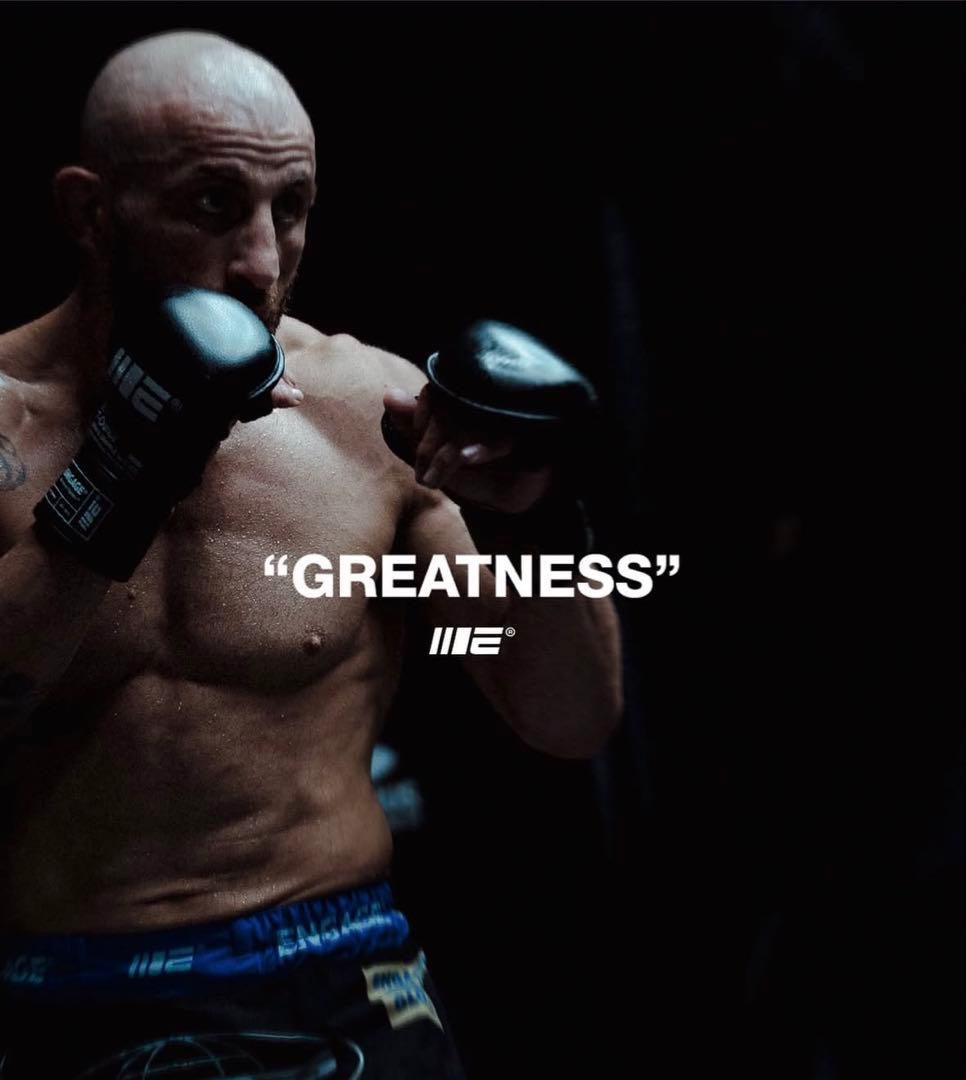 ENGAGE パウンドグローブ S/M【完売品】