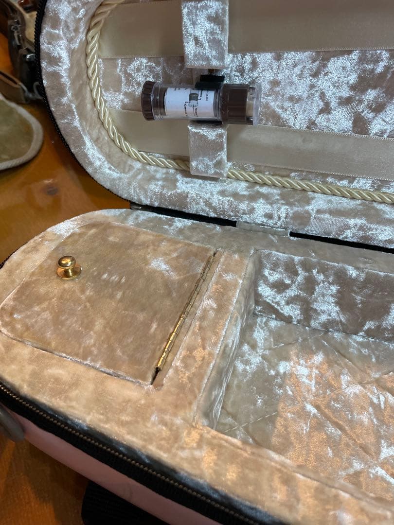 LANG バイオリンケース