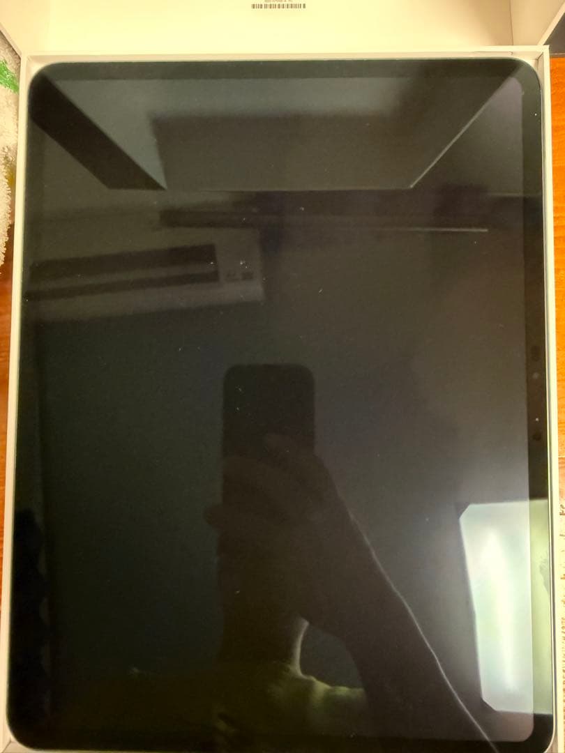 iPad Pro 13インチ Wi-Fi 256GB 標準ガラス搭載