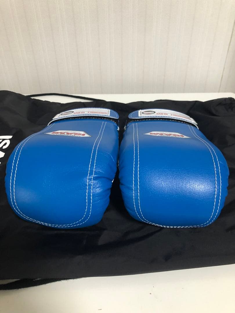 パンチンググローブ イサミ M