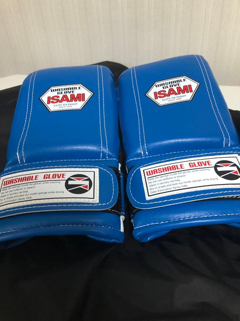 パンチンググローブ イサミ M