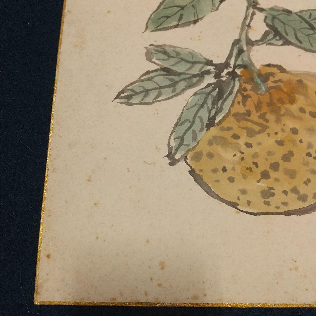 小説家画家 武者小路実篤 肉筆色紙 柚子？